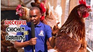 PROVEN TIPS TO MAXIMIZE CHICKEN PRODUCTION | Kenchic's Advice in poultry farming #kenchic #poultry