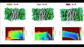 Minute-timescale free-energy calculations reveal a pseudo-active state in A2AR activation mechanism