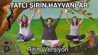 Bam Bam Tam - TATLI ŞİRİN HAYVANLAR (RİTİM VERSİYONU) / Eğlenceli Çocuk Şarkıları / RİTİM ÇALIŞMASI