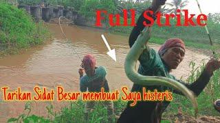 PENUH PERJUANGAN UNTUK BISA MENAKLUKKAN SIDAT PENGHUNI SUNGAI BERARUS