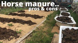 What you NEED to know about horse manure