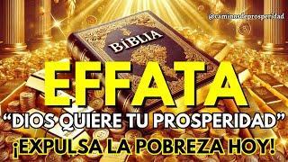 EFFATA: SECRETOS MILLONARIOS DE LA BIBLIA: ¡LA VERDAD OCULTA PARA SALIR DE LAS DEUDAS!