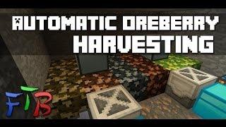 Minecraft - FTB - Automated Oreberry Harvesting Tutorial