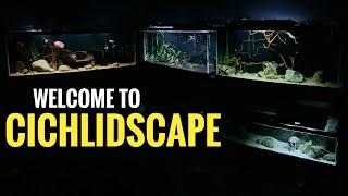 WELCOME TO CICHLIDSCAPE! |Our New Channel Trailer