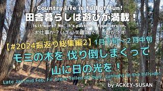 【#2024振返り総集編2】1月下旬〜２月中旬　モミの木を伐り倒しまくって　山に光を！