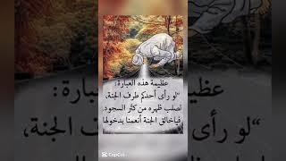 اقتباسات يومية وحكم رائعة عن الحياة مستوحاة من أقوال العلماء والفلاسفة والحكماء  #حكمة_اعجبتني