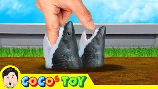 Megalodon lives inside the school playground｜ichthyosaur name, ichthyosaur cartoon｜CoCosToy