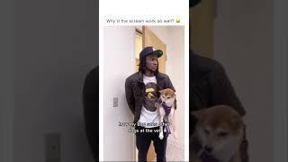 Epic dog videos make you laugh with tears  #shorts