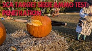 SCA Target Siege Ammo Test - Penetration