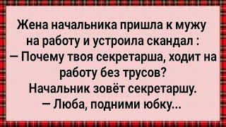 Как Жена Начальника Наглую Секретаршу Наказала! Сборник Свежих Анекдотов! Юмор!