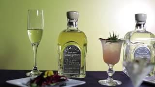 Casa Mexico Tequila Promo at the Tequila Museo Mayahuel in Sacramento CA