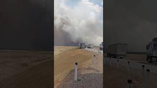 В Читу дороги нет верховой пожар
