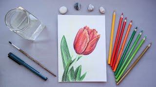PAINT WITH ME: Tulip flower. Drawing idea