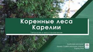 Коренные леса Карелии. Типология и восстановление