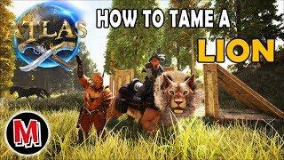 ATLAS HOW TO TAME A LION