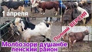 Молбозори душанбе ленский район нархи гови ширте ва бука Гусфанд 1 апреля