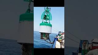 Marine buoy #knowledge #shorts #shortvideo