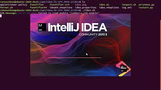 IntelliJ IDEA 2017 Community Edition installation in Ubuntu 18.04 LTS