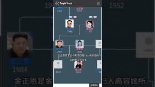 金氏家族的三代权力传承和对朝鲜的统治