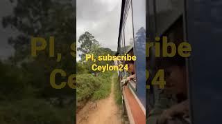 @ceylon24 உல்லாசப் பயணிகளைப் பாதுகாப்போம் #lkanews