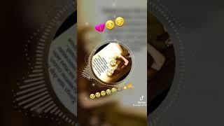 dasgiri shumo peshravi mo