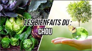 Les bienfaits du : CHOU+ Recette: chou en croûte au cumin (Végétarien)