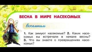 Окружающий мир 2 класс ч.2, Перспектива, с.82-85, тема урока "Весна в мире насекомых"