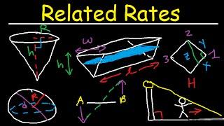 Related Rates - Conical Tank, Ladder Angle & Shadow Problem, Circle & Sphere - Calculus