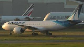 LIVE BORDEAUX AIRPORT PLANESPOTTING Special Landing to MRO Sabena Technic Corsair A330 900N 11.11.24