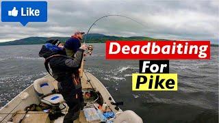 How to Catch Pike with Deadbaits - Bottom Bouncing - Pop Up Drifting method