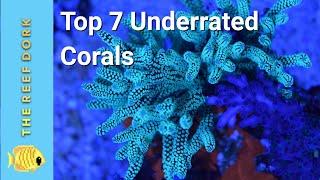 Top 7 Easy (ish) Underrated Corals