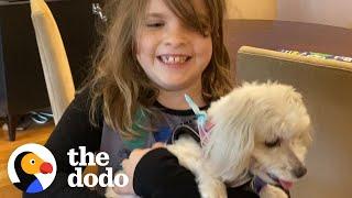 Dad Finds His Daughter The Perfect Rescue Dog | The Dodo