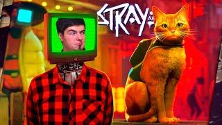 ПРО STRAY