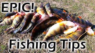 SLAYING Yellow Perch, GAME WARDENS Show Up, 3-Man Limit of Yellow Perch and Perch Fishing Tips!