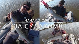 За судаком!!Ловля судака и щуки на  джиг.АСТРАХАНСКАЯ РЫБАЛКА.