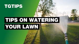 TG Tips - How to Water Your Lawn