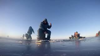 ICEFISHING.Non-dusty jig. БЕЗМОТЫЛКА 2020, наблюдения, размышления, выводы. 4 ЧАСТЬ