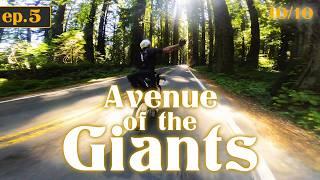 The Best ROAD I've EVER Ridden!  (Ave Of The Giants)- The Great American Coastline - Day 5 