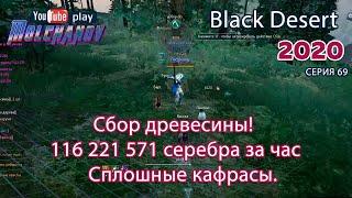 Сбор древесины. Black Desert Фарм серебра 2020. Лучница.