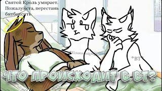 ЧТО ПРОИСХОДИТ В ВТ? (Catwar)