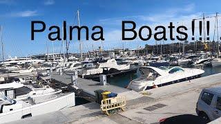 walking along Palma  Paseo Maritimo looking at the boats etc