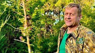 Олег Зубков учит маленького Финика ЛАЗИТЬ по ДЕРЕВЬЯМ и показывает нам нового жителя Тайгана)