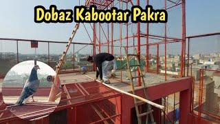 Dobaz Kabootar Pakra | Hashim Mahmood Pigeons