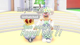 ЧТО ПОПАДЕТСЯ ИЗ КОРОЛЕВСКОГО ЯЙЦА В Adopt me !? Royal egg / Reniko / Roblox / Game