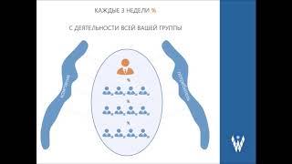 СУТЬ ПРОЕКТА WELLSTREAM. Денис Крамер.