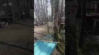 пикник,Uzbekistan,Tajikistan,,отдых на природе,шашлык!!!