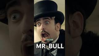 Mr. Bull your new IT Consultant is here!