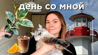 день со мной | я теперь котситтер, новый член семьи и бамбл тоник 