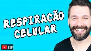 RESPIRAÇÃO CELULAR - Aula completa | Biologia com Samuel Cunha