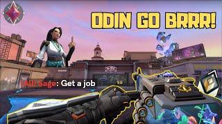 Radiant is NOT Ready for This Playstyle 